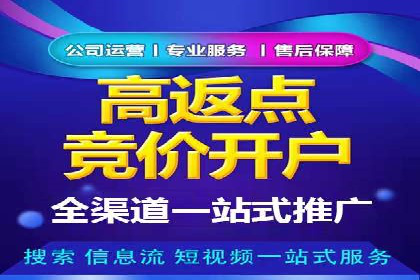百度信息流广告的实时数据监测与优化案例